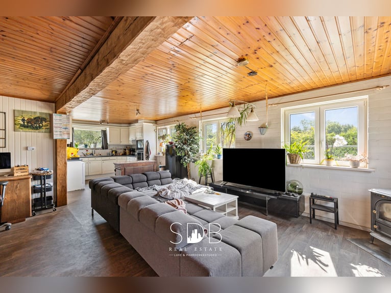 Farm with equestrian facilities and pastures on 14,490 m² near Antwerp | Belgium