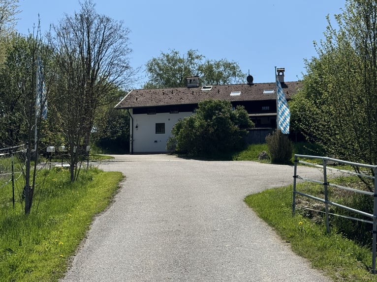 Farm with horse-keeping facilities, 2.5 hectares of land, near Munich.
