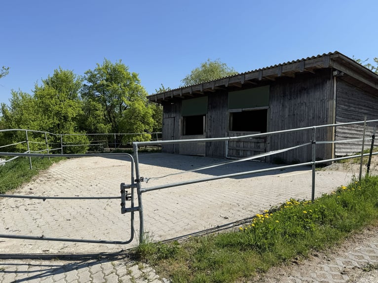 Farm with horse-keeping facilities, 2.5 hectares of land, near Munich.