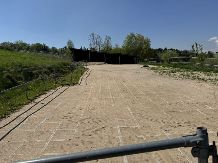 Farm with horse-keeping facilities, 2.5 hectares of land, near Munich.