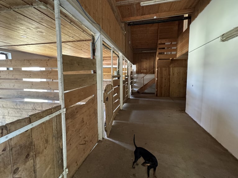 Farm with horse-keeping facilities, 2.5 hectares of land, near Munich.