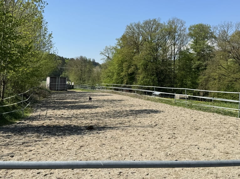 Farm with horse-keeping facilities, 2.5 hectares of land, near Munich.