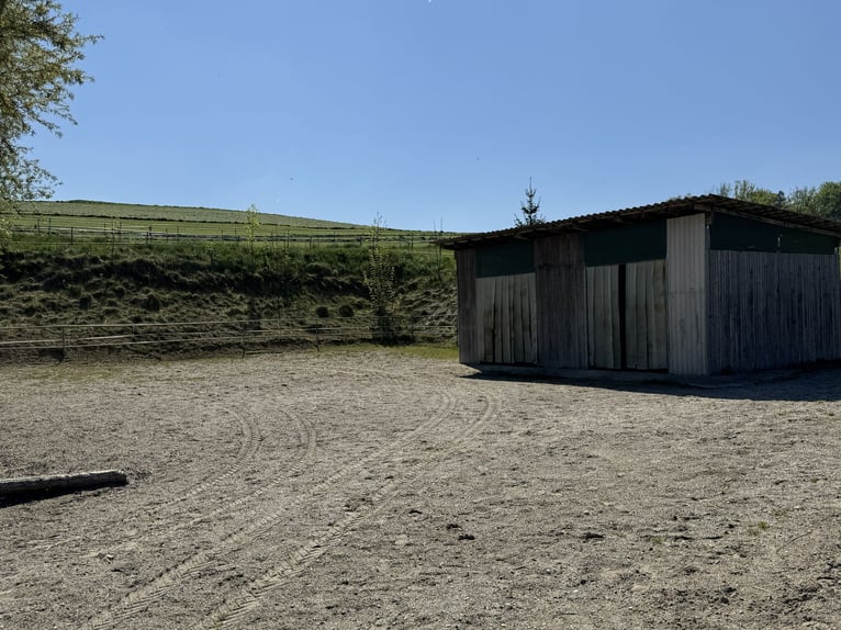 Farm with horse-keeping facilities, 2.5 hectares of land, near Munich.