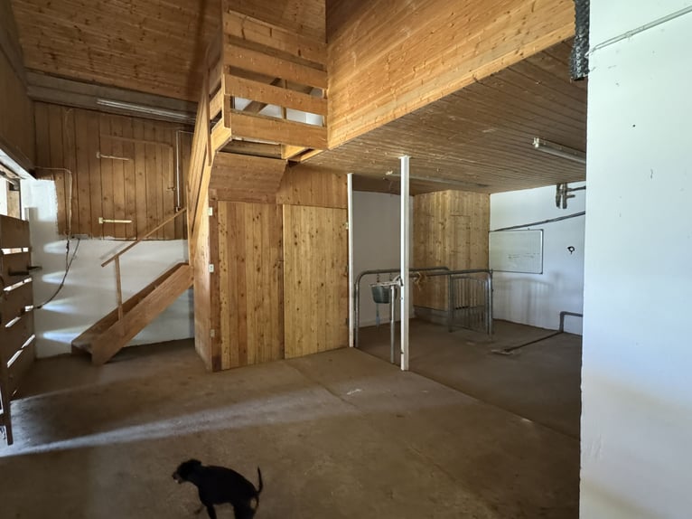 Farm with horse-keeping facilities, 2.5 hectares of land, near Munich.