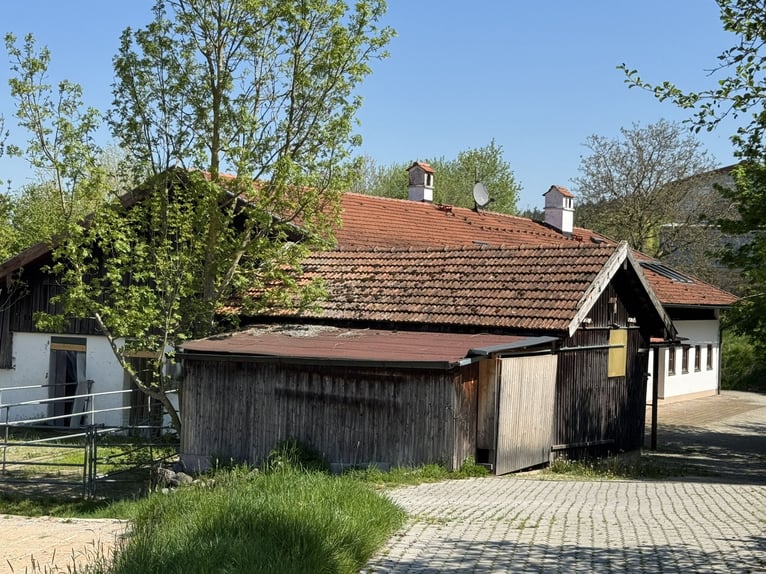 Farm with horse-keeping facilities, 2.5 hectares of land, near Munich.