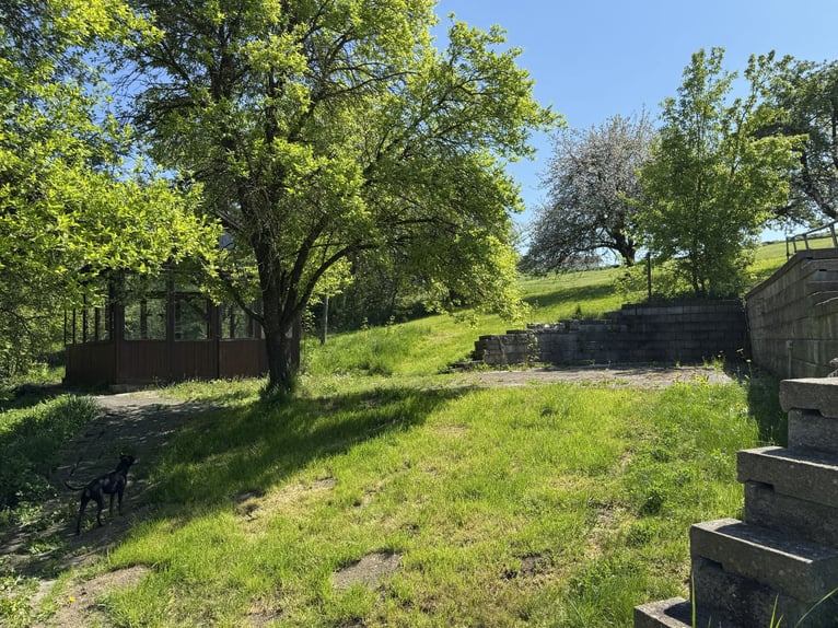 Farm with horse-keeping facilities, 2.5 hectares of land, near Munich.