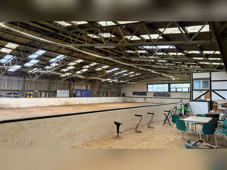 Farm with riding arena, stabling facilities, and extensive leasehold land in Linnich