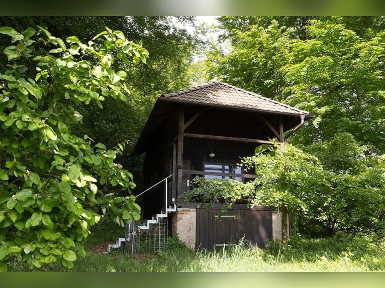 Farmhouse/Farm for sale in the Allgäu region, secluded location with approximately 27 acres of meado