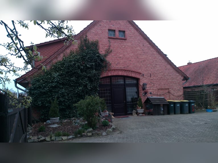 Farmstead / Multi-family house / Property for sale