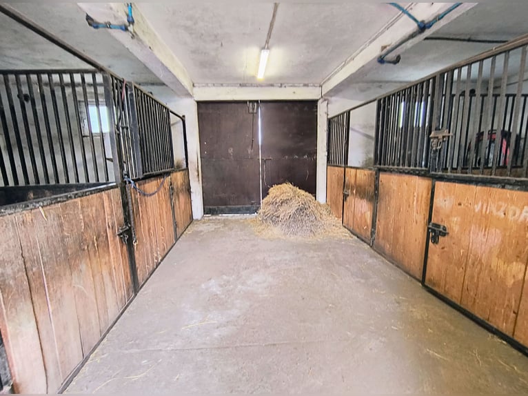 Farmstead with a stable, equestrian center, country house / Country house with stable