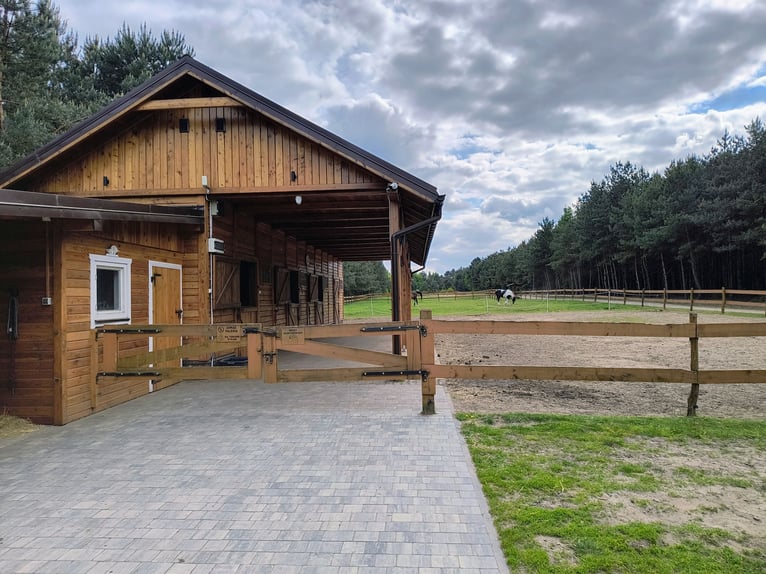 Farmstead with a stable, equestrian center, country house / Country house with stable