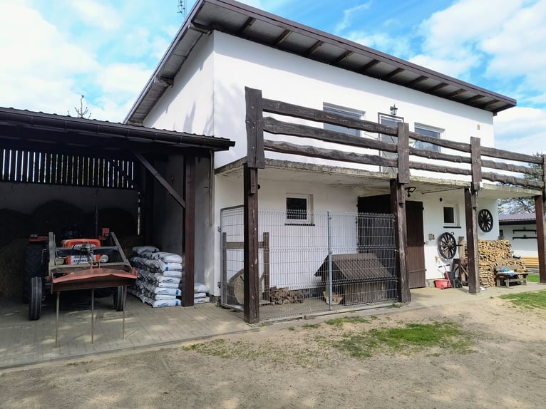Farmstead with a stable, equestrian center, country house / Country house with stable