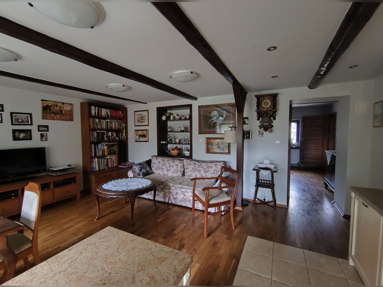 Farmstead with a stable, equestrian center, country house / Country house with stable