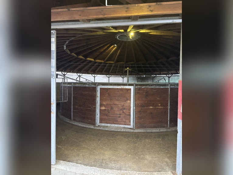 For sale: modern equestrian center