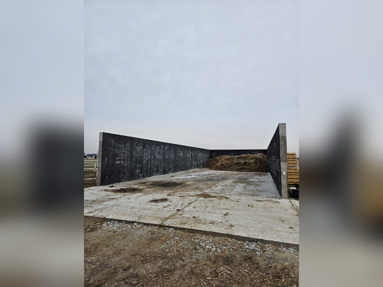 For sale: modern equestrian center