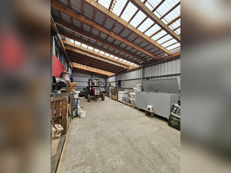 For sale: modern equestrian center