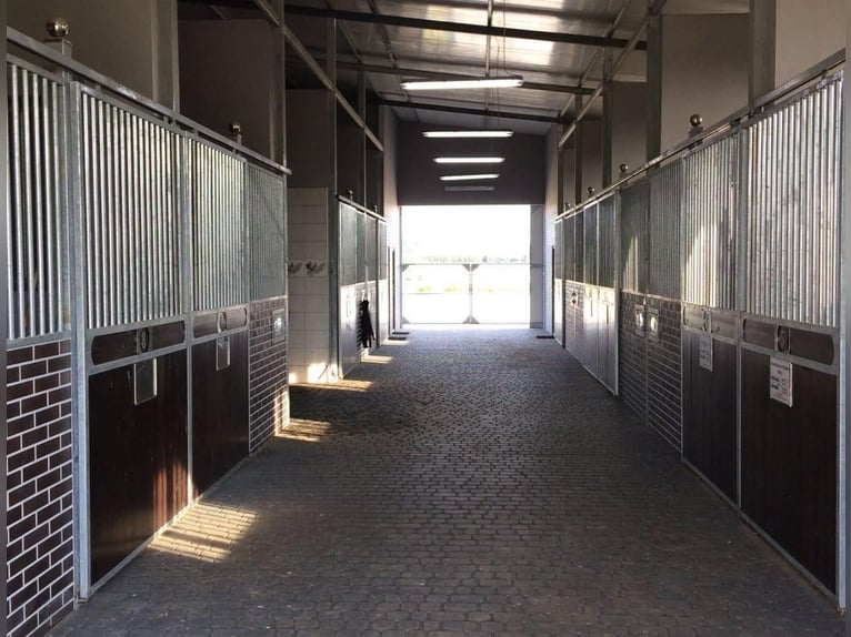 For sale: modern equestrian center