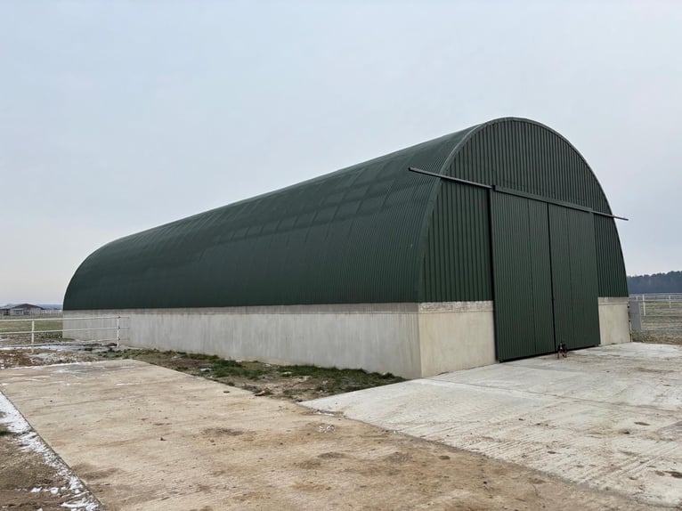 For sale: modern equestrian center