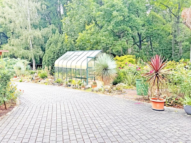 Four-in-Hand at Home: 17 acres equestrian estate with 4 stables, space for 4 carriages, pastures, wo