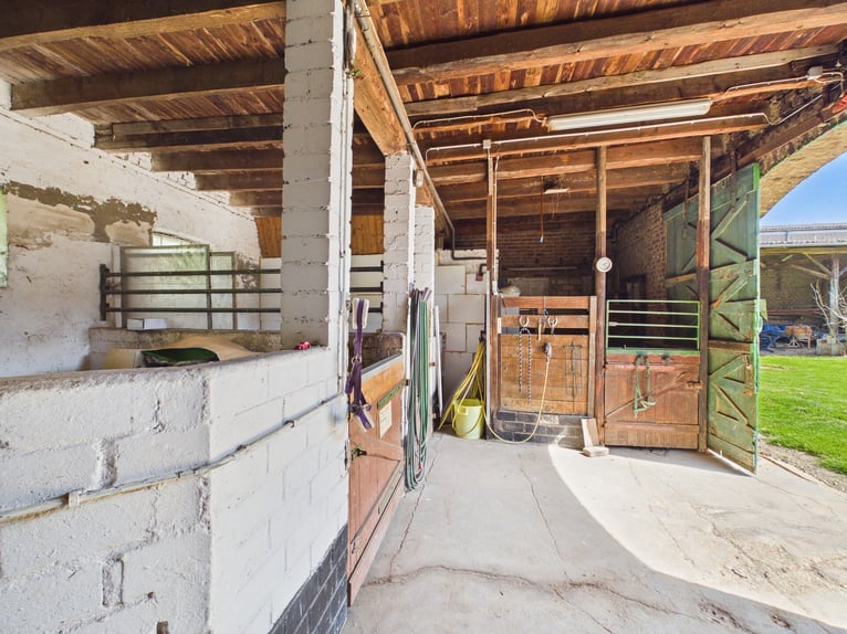 Four-sided farm in Erftstadt – idyllic estate with potential for horse keeping in near-seclusion