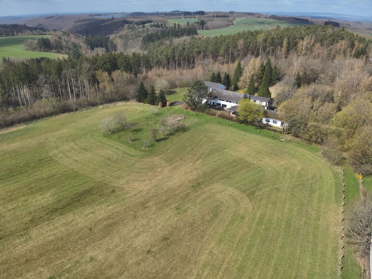 Freedom on 42 acres: Spacious estate in a secluded location with riding arena, swimming pool, and ex