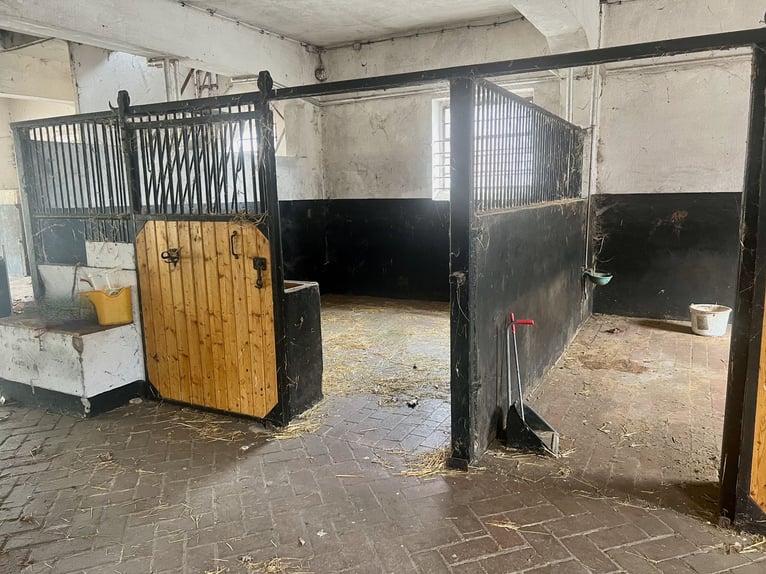 Freistehendes Gutshaus mit hochwertigen Nebengebäuden