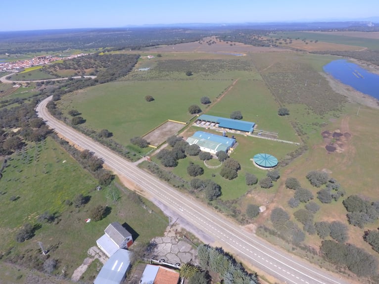 Fully Equipped Horse Farm – 59 Acres – Cáceres