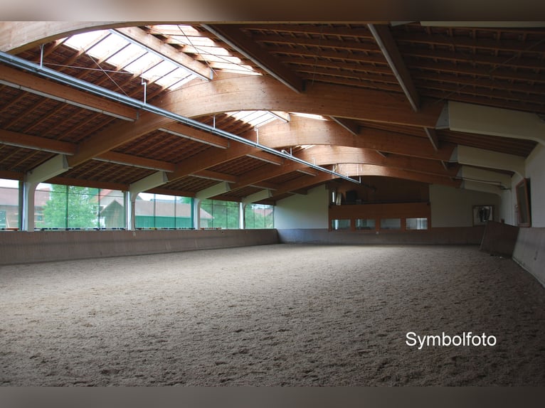 Fully operational riding facility in South Vienna