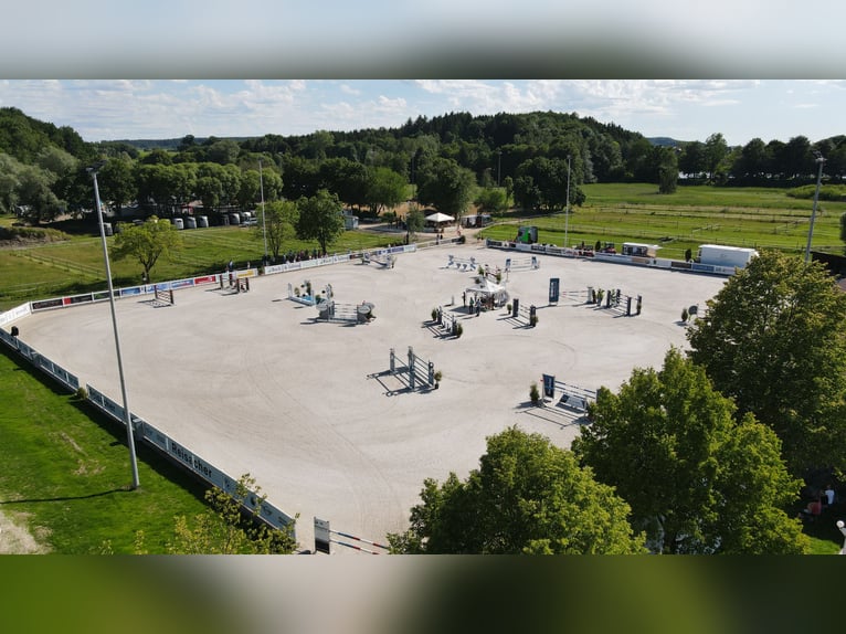 General lessee wanted for equestrian facility in Babenhausen Schwaben / Bavaria!