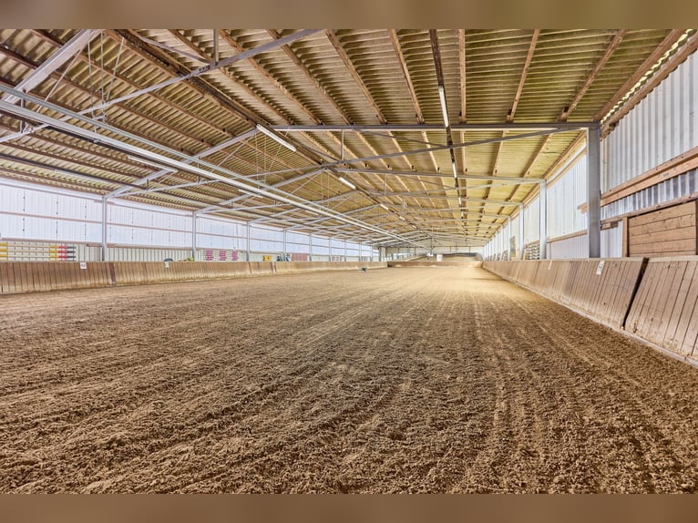 Gepflegte Reitanlage bei Hannover – inklusive Mehrfamilienhaus mit 4 Einheiten!