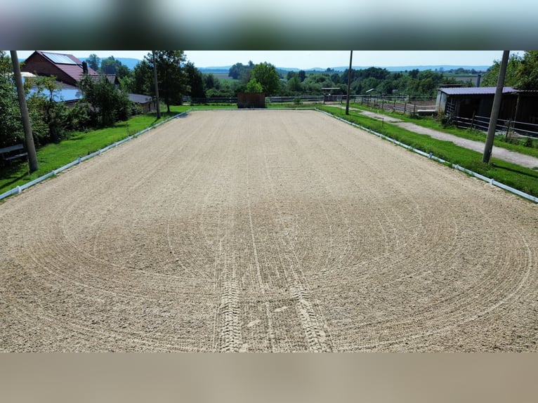 Großzügige Wohn- und Reitanlage in Bayern sucht neue Pferdeliebhaber!