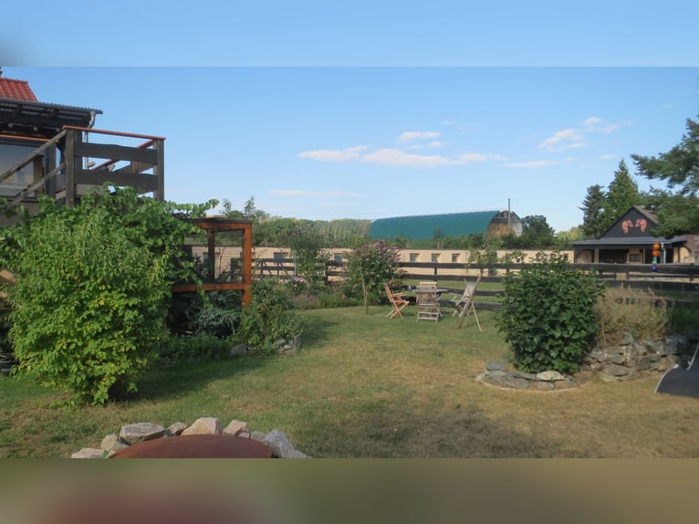 HAPPINESS has a HOME – Well-maintained riding stable and apartment at the village edge in Plauen / V