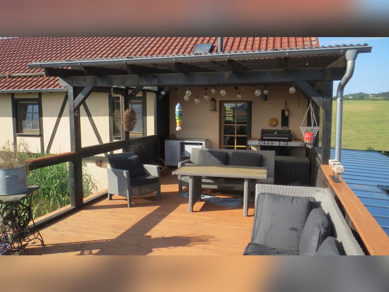 HAPPINESS has a HOME – Well-maintained riding stable and apartment at the village edge in Plauen / V