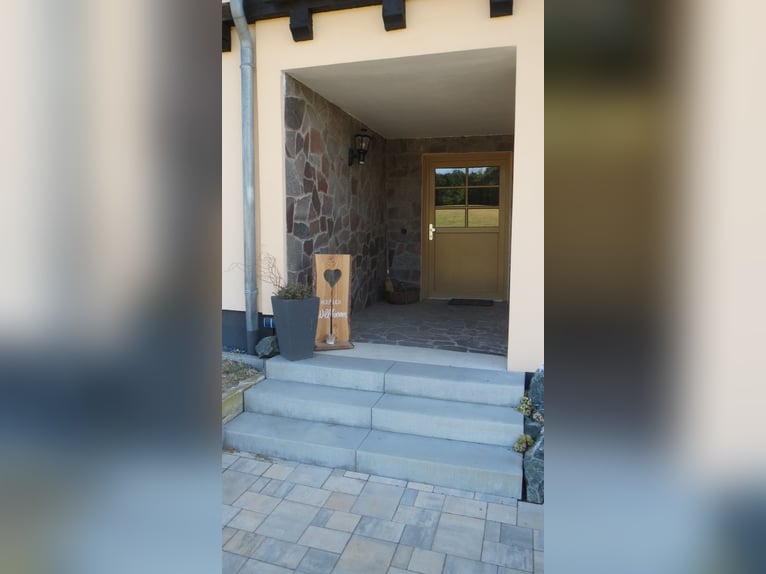HAPPINESS has a HOME – Well-maintained riding stable and apartment at the village edge in Plauen / V