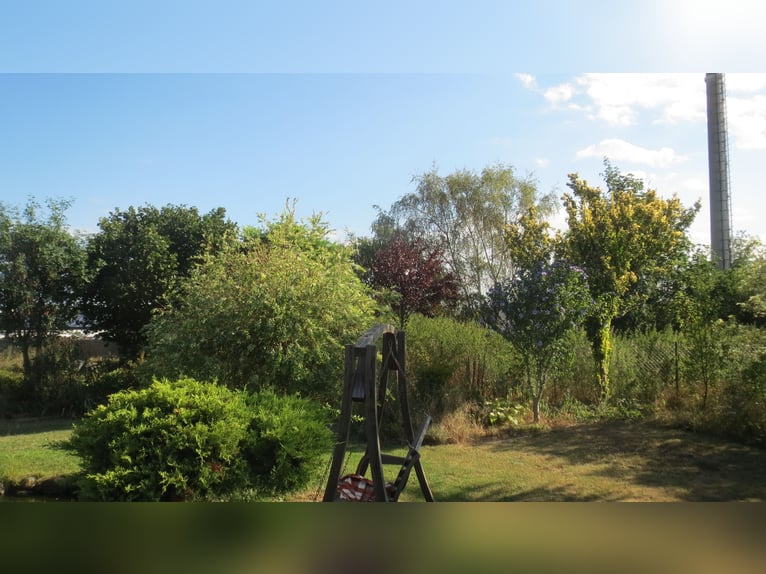 HAPPINESS has a HOME – Well-maintained riding stable and apartment at the village edge in Plauen / V