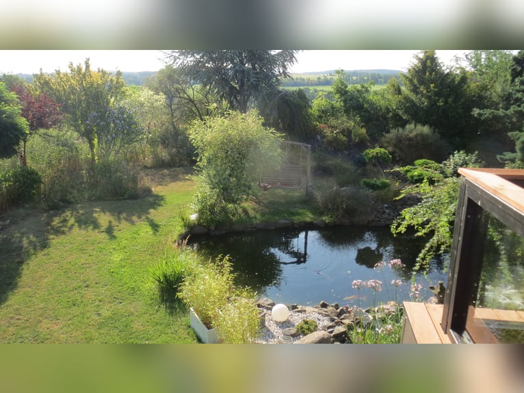 HAPPINESS has a HOME – Well-maintained riding stable and apartment at the village edge in Plauen / V