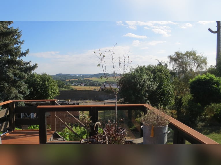 HAPPINESS has a HOME – Well-maintained riding stable and apartment at the village edge in Plauen / V