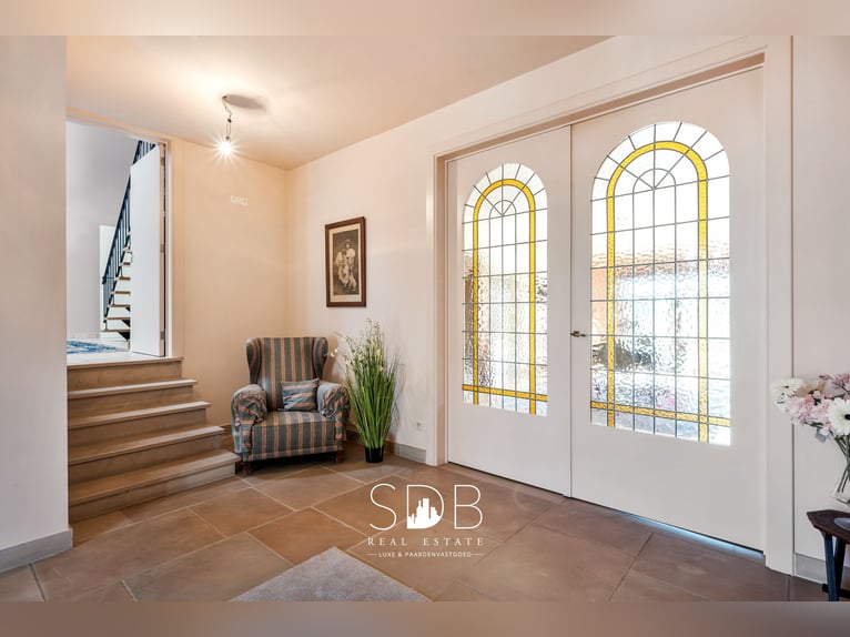 Hedendaagse villa met gezinstuin en graslanden op 7.496m2 te Heusden | België