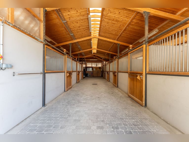 High-End Sports Stable