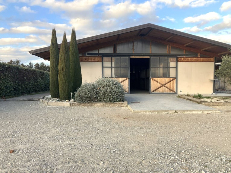 High-End Sports Stable