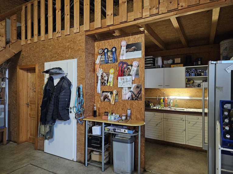 Highly profitable riding facility with ample land for species-appropriate horse keeping in a private