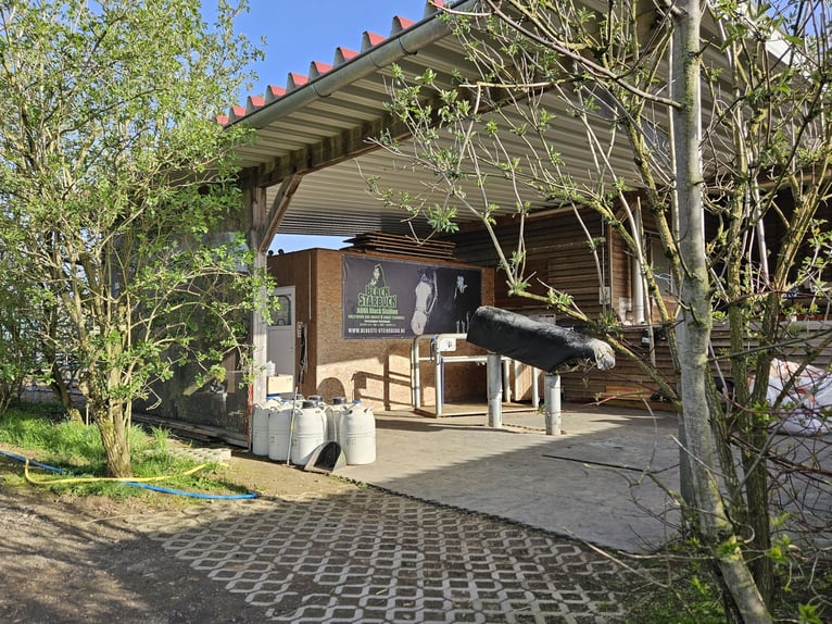 Highly profitable riding facility with ample land for species-appropriate horse keeping in a private