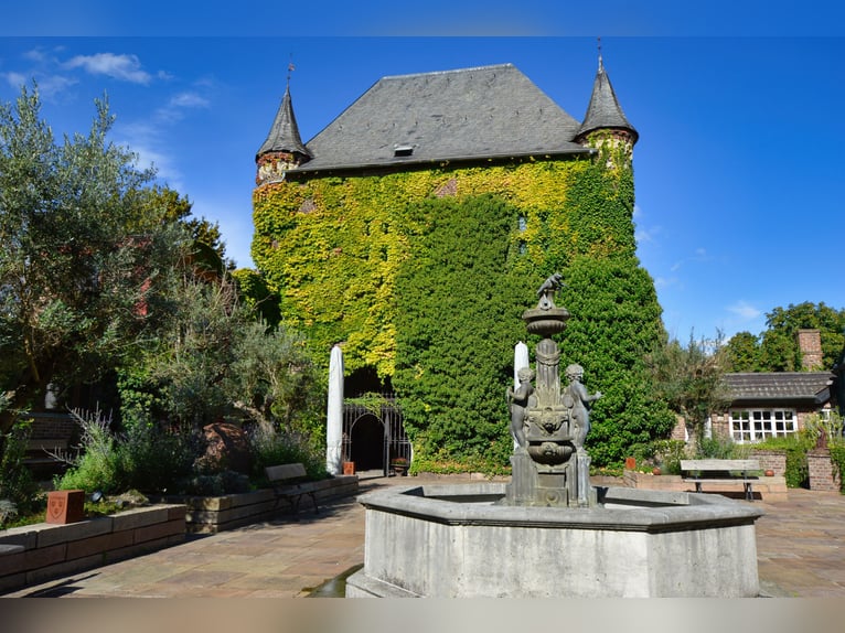 Historic estate with a park and private lake, perfect for nature and animal lovers!