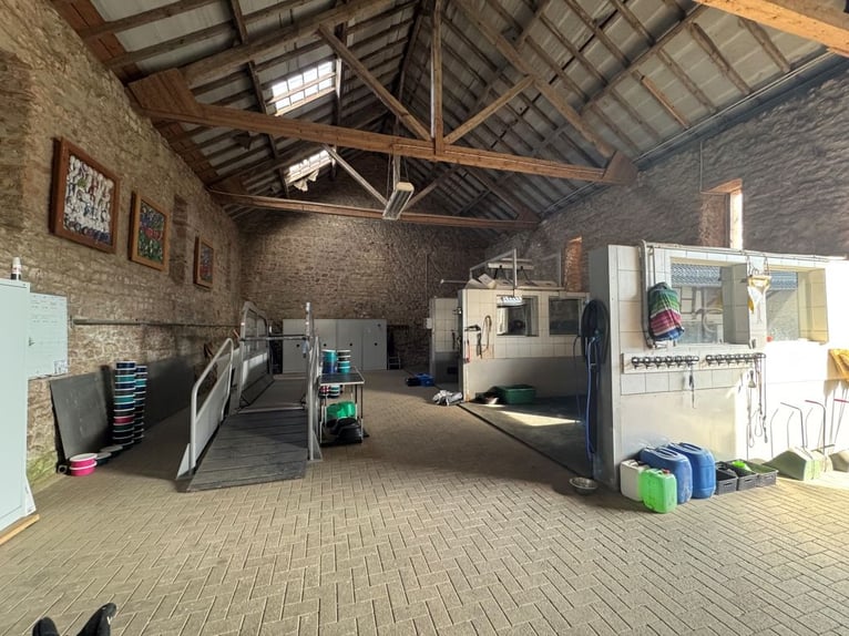 Historic four-sided farm with riding facilities