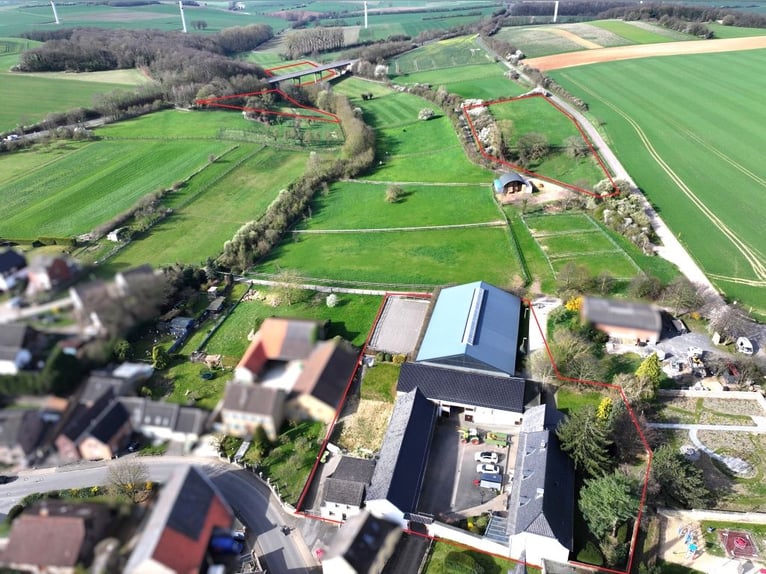Historic four-sided farm with riding facilities