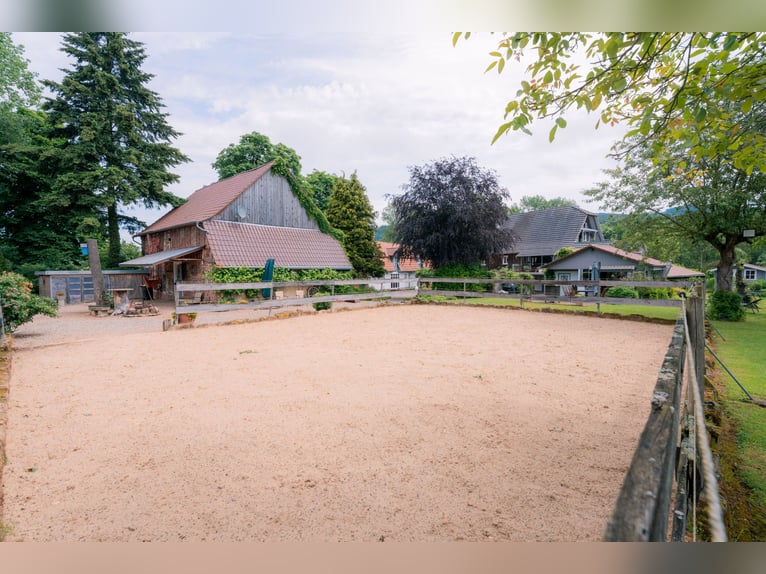 Historic mill estate in a secluded location with horsekeeping, water power, and attractive income op