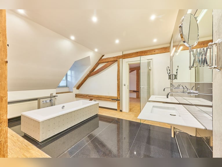 Historic watermill castle with well-maintained equestrian facilities in Rheinhessen!