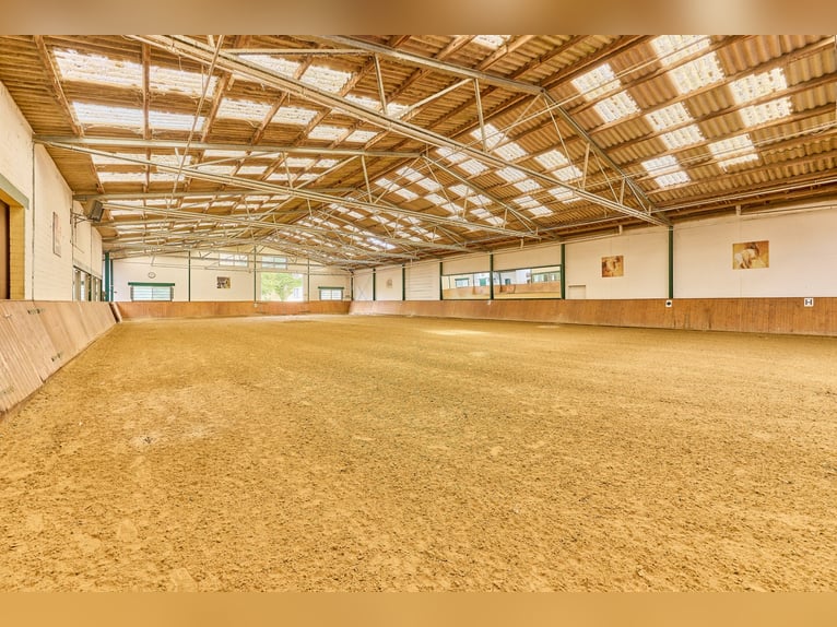 Historic watermill castle with well-maintained equestrian facilities in Rheinhessen!