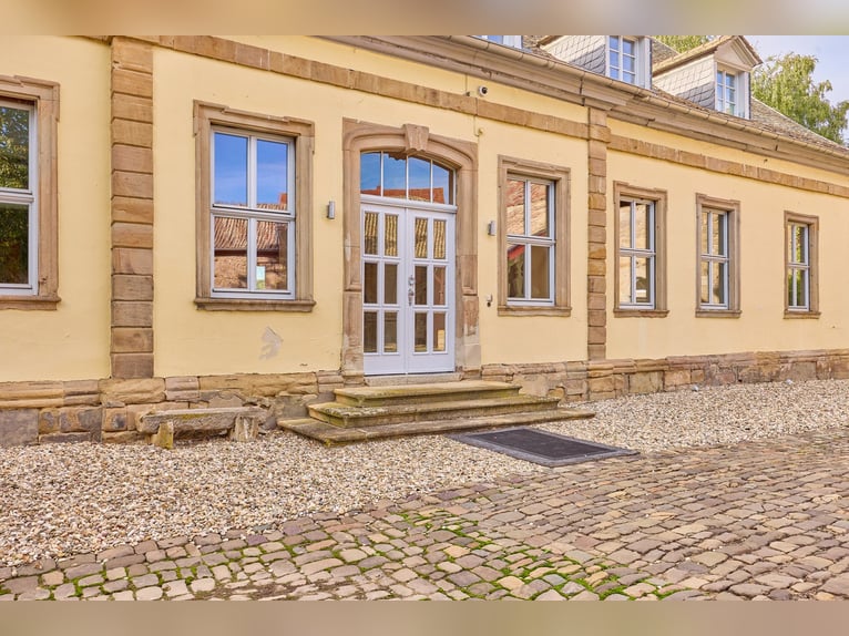 Historic watermill castle with well-maintained equestrian facilities in Rheinhessen!