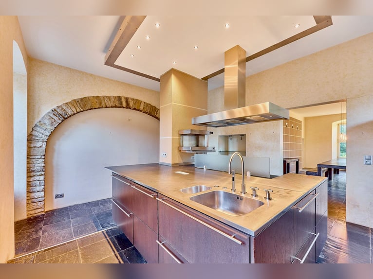 Historic watermill castle with well-maintained equestrian facilities in Rheinhessen!